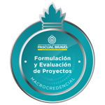 Formulación y Evaluación de Proyectos