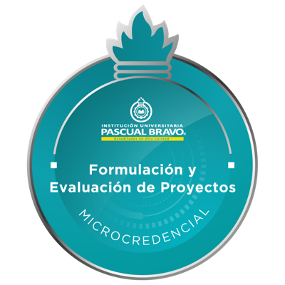 Formulación y Evaluación de Proyectos