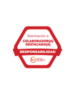 Nominado(a) a Colaborador(a) Destacado(a) 2023- Categoría Responsabilidad