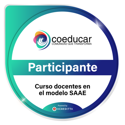 Instrumentos para la observación, retroalimentación y evaluación de las prácticas docentes en el modelo SAAE