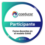 Instrumentos para la observación, retroalimentación y evaluación de las prácticas docentes en el modelo SAAE