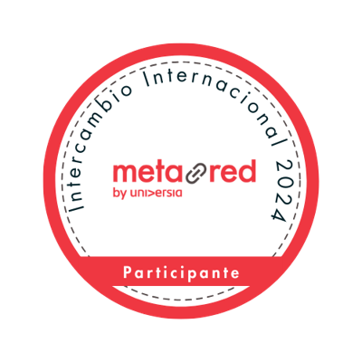 Programa de Intercambio Internacional MetaRed S 2024
