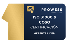 GERENTE LÍDER EN RIESGOS ISO 31000 Y COSO (CONTROL INTERNO)