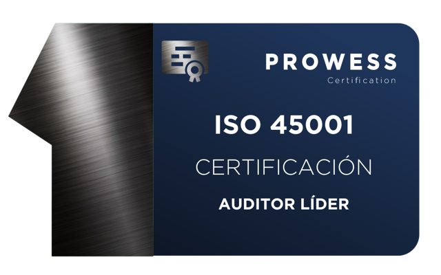 AUDITOR LÍDER ISO 45001 SISTEMA DE GESTIÓN DE LA SEGURIDAD Y SALUD EN EL TRABAJO