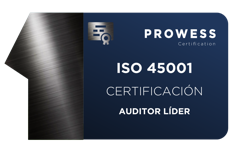 AUDITOR LÍDER ISO 45001 SISTEMA DE GESTIÓN DE LA SEGURIDAD Y SALUD EN EL TRABAJO