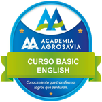 Curso Basic English