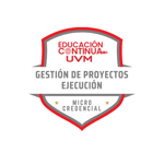 DIPPROY - Ejecución del proyecto