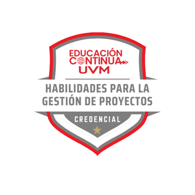 Habilidades para la Gestión de Proyectos