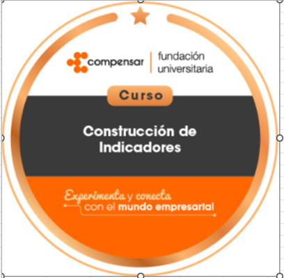 Curso de construcción de indicadores.