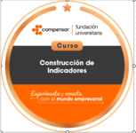 Curso de construcción de indicadores.