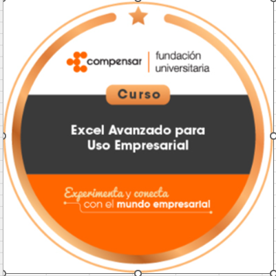 Excel avanzado para uso empresarial.