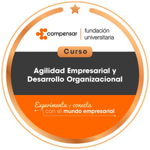 Agilidad empresarial y desarrollo organizacional.