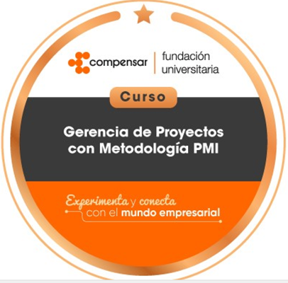 Gerencia de proyectos con metodología PMI.