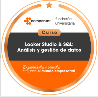 Looker Studio & SQL: análisis y gestión de datos