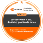 Looker Studio & SQL: análisis y gestión de datos