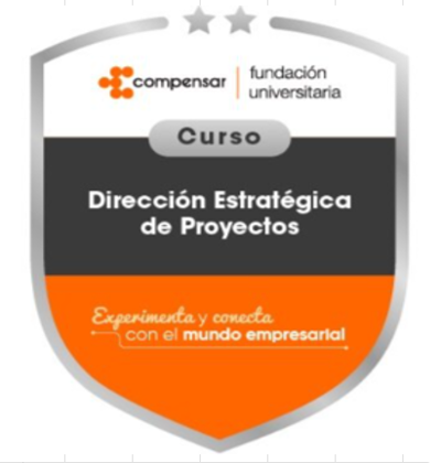 Dirección estratégica de proyectos