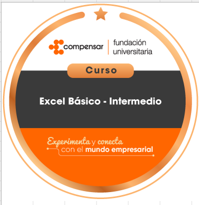 Curso Excel Básico - Intermedio