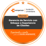 Gerencia de servicio con enfoque a experiencia de clientes