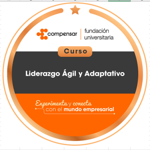 Curso Liderazgo Ágil y Adaptativo