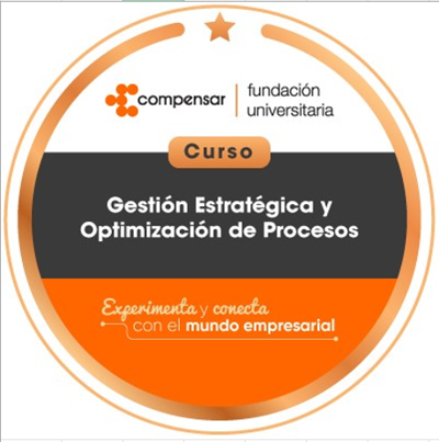 Gestión estratégica y optimización de procesos.