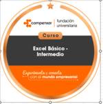 Curso de Excel básico intermedio.
