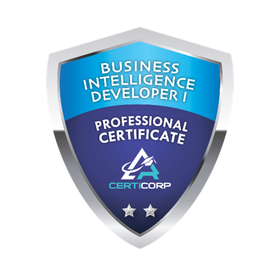 Business Intelligence Developer I Professional Certification
