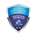 Business Intelligence Developer I Professional Certification