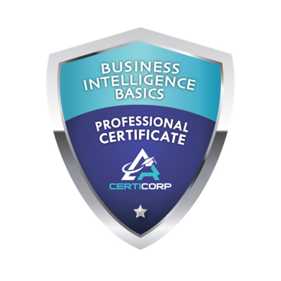 Business Intelligence Basics Professional Certification