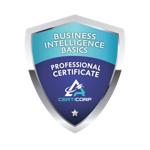 Business Intelligence Basics Professional Certification