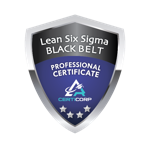 Lean Six Sigma Black Belt Professional Certification