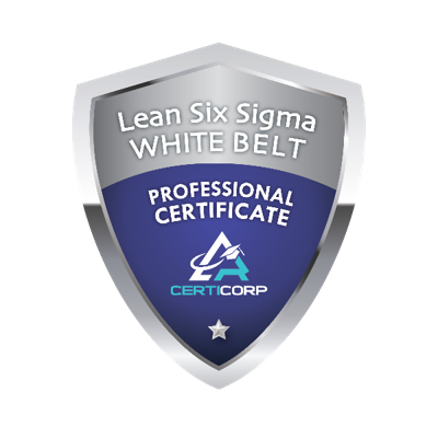 Lean Six Sigma White Belt Professional Certification