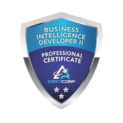 Business Intelligence Developer II Professional Certification