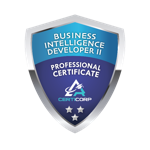 Business Intelligence Developer II Professional Certification