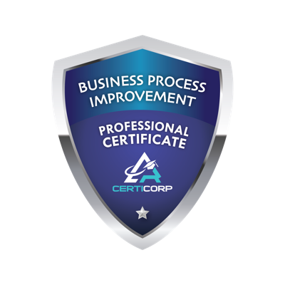 Business Process Improvement