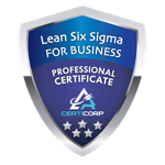 Lean Six Sigma For Business Professional Certification