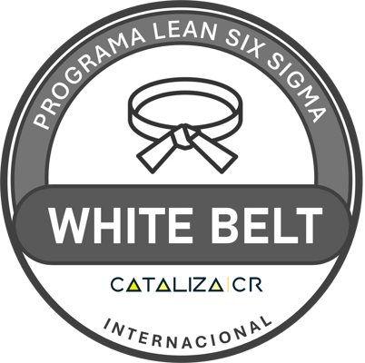 Lean Six Sigma White Belt