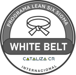 Lean Six Sigma White Belt