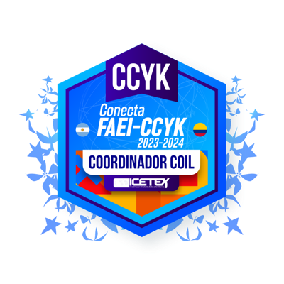 Conocimientos, habilidades y coordinación de estrategias en Internacionalización del Currículo entre Colombia y Argentina.