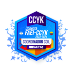 Conocimientos, habilidades y coordinación de estrategias en Internacionalización del Currículo entre Colombia y Argentina.