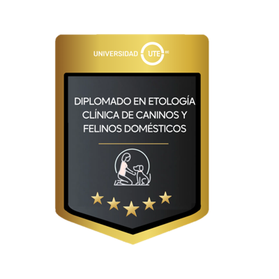 Imagen de la credencial