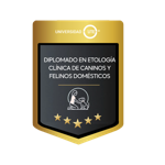 DIPLOMADO EN ETOLOGÍA CLÍNICA DE CANINOS Y FELINOS DOMÉSTICOS