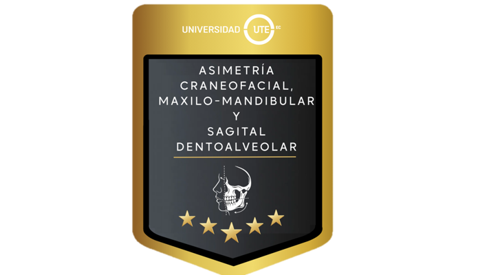 CURSO DE ASIMETRÍA CRANEOFACIAL, MAXILO-MANDIBULAR Y SAGITAL DENTOALVEOLAR