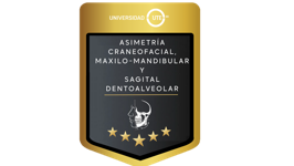 CURSO DE ASIMETRÍA CRANEOFACIAL, MAXILO-MANDIBULAR Y SAGITAL DENTOALVEOLAR