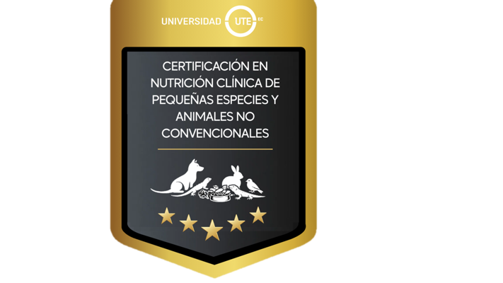 Imagen de la credencial