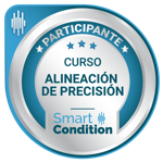 Alineación de Precision