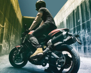 Grupo de Motoqueros