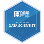 Data Scientist