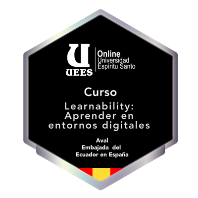 Learnability: Aprender en entornos virtuales (España)