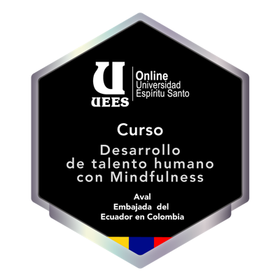 Desarrollo de talento humano con Mindfulness (Colombia)