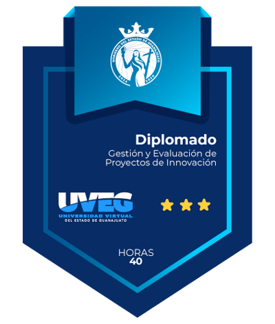 Gestión y Evaluación de Proyectos de Innovación